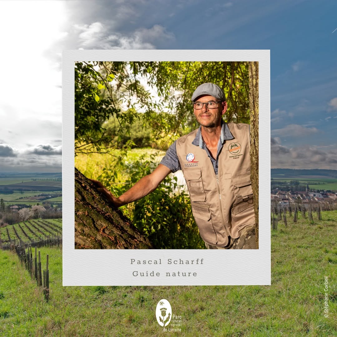 Pascal Scharff, guide nature
